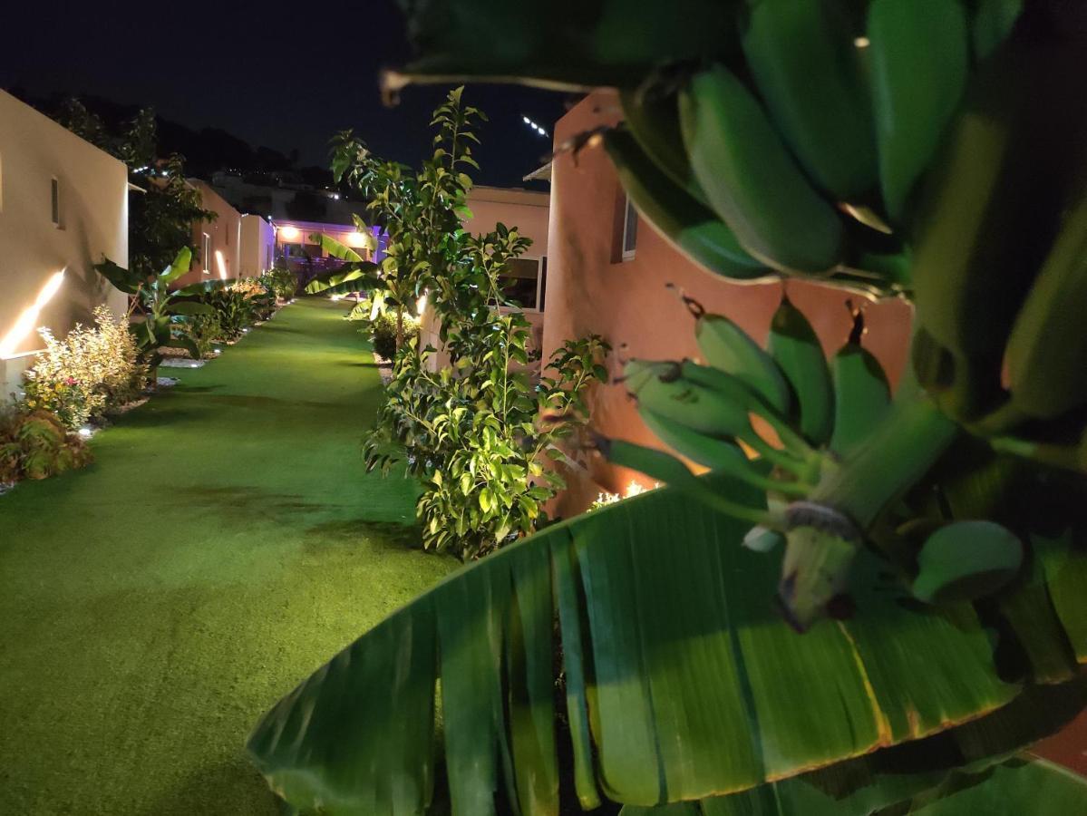 Modular Bungalows With Heated Pool Artemis Greece Exterior photo